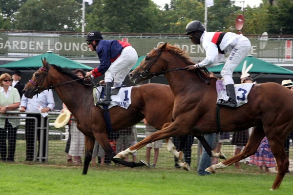 Ascot Renntag09   029.jpg